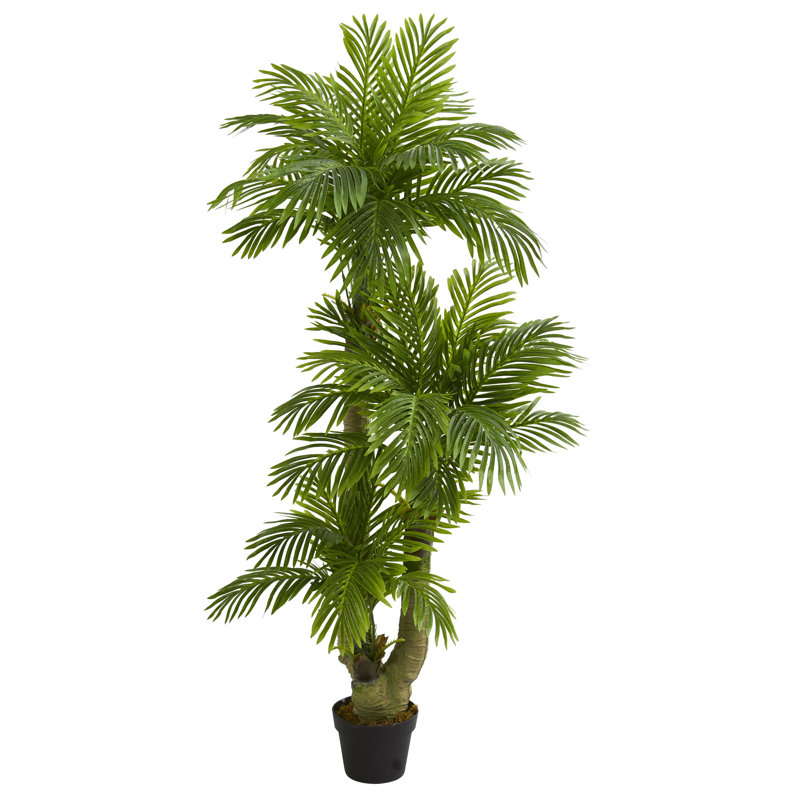 Bay Isle Home 54.50" Artificial Palm Tree in Planter & Reviews Wayfair